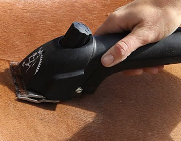 Buy Horse Clippers