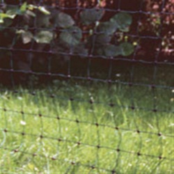 Extra Tall 50 Metre Electric Poultry Net in Green - keep your hens safe