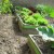 Snail and Slug Fence Kit - protect your garden and veg - we love this kit