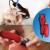 Wahl Deluxe Dog Clipper and Trimmer Kit, with scissors and comb.  On Sale!