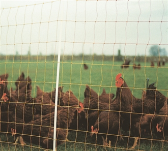 Poultry Fencing