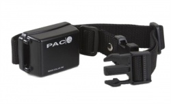 Pac Dog Collar